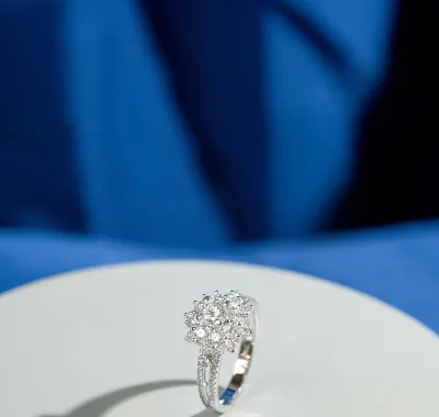 Round Cut with Flower Details Halo